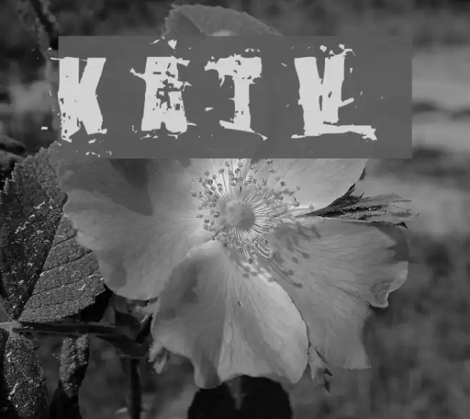 Killer Ants Trial Version Шрифта examples