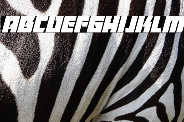 Killer Bassline Italic Example 1