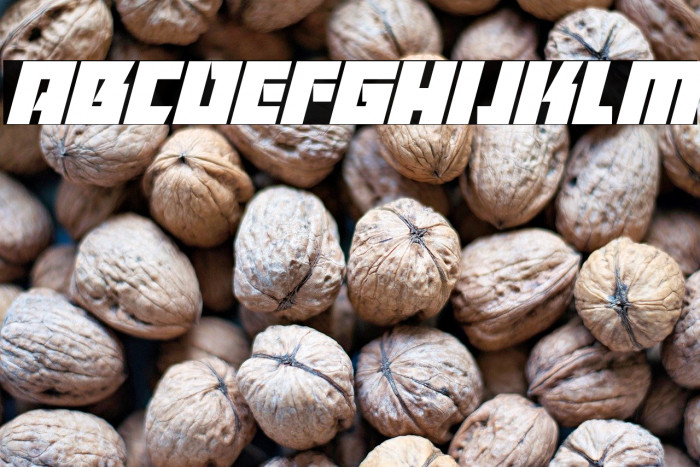 Killer Bassline Italic Example 2