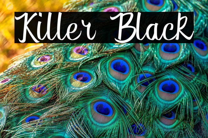 Killer Black Example 2