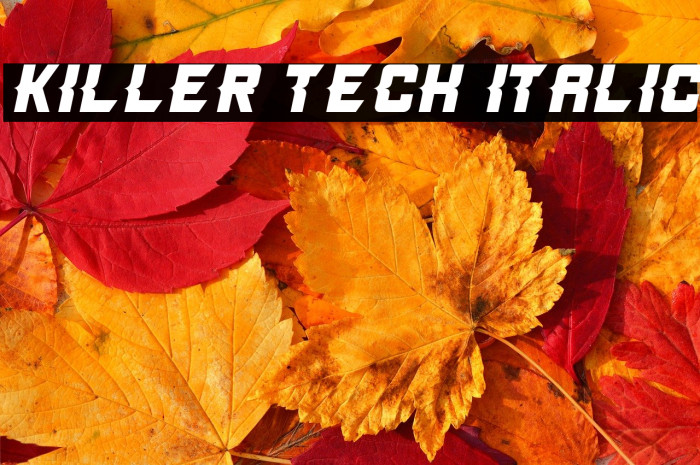 Killer Tech Italic Example 2
