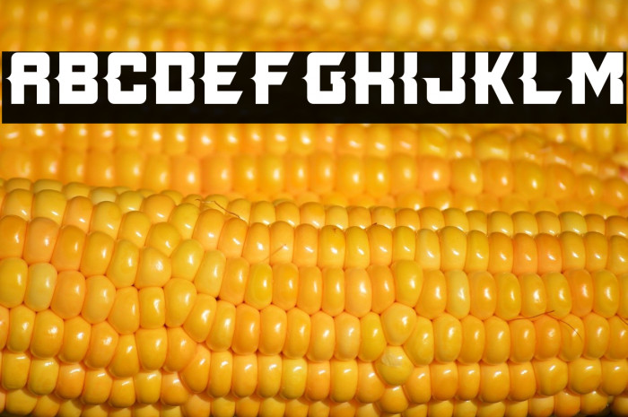 Killer Tech Example 2