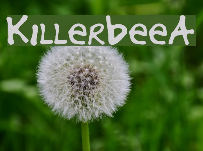 KillerbeeA Polices examples
