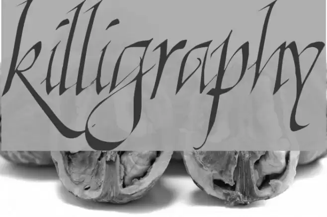 Killigraphy フォント examples