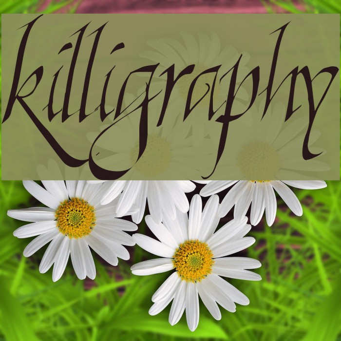 Killigraphy フォント examples