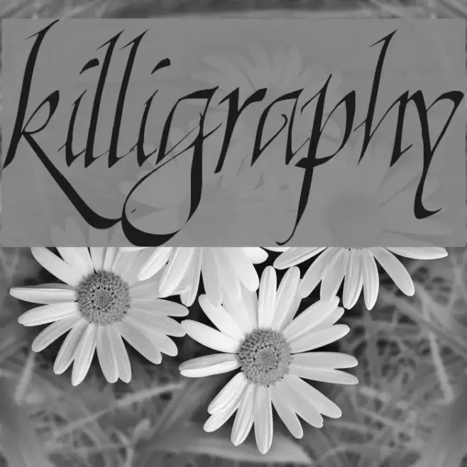 Killigraphy フォント examples