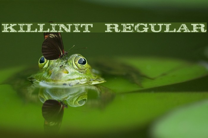 KillinIt-Regular Font examples