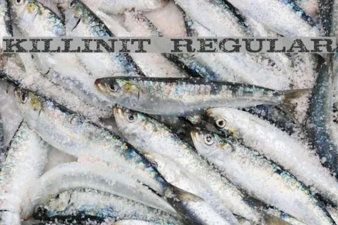 KillinIt-Regular Example 3