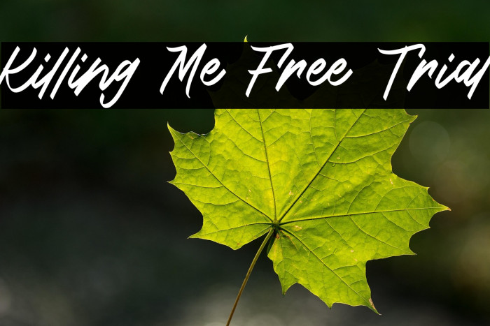 Killing Me Free Trial Example 3