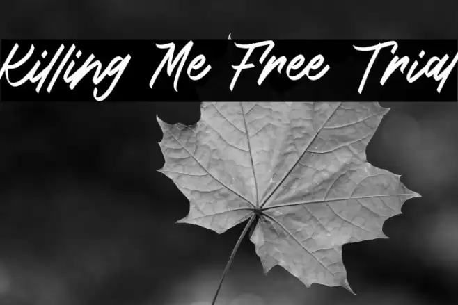 Killing Me Free Trial フォント examples