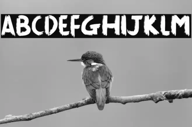 Killing The Moon Font examples