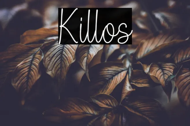 Killos Example 2