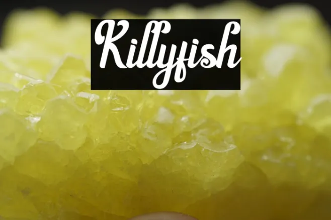 Killyfish Example 1