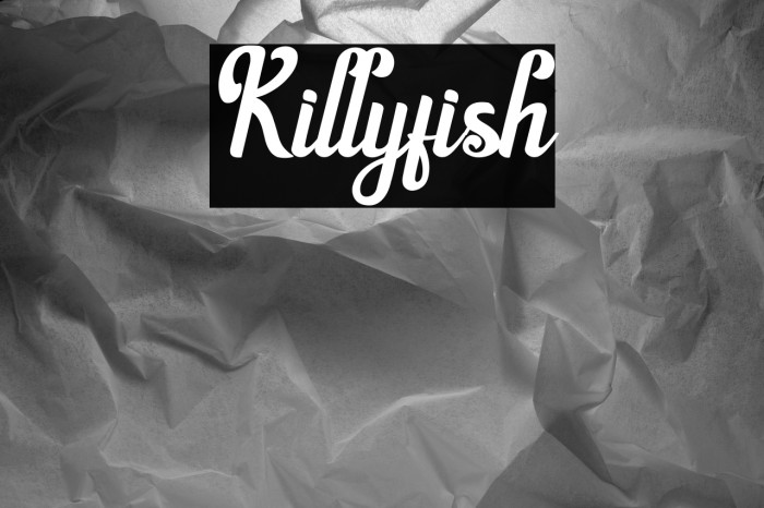 Killyfish Example 2
