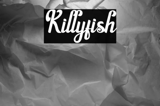 Killyfish Example 2