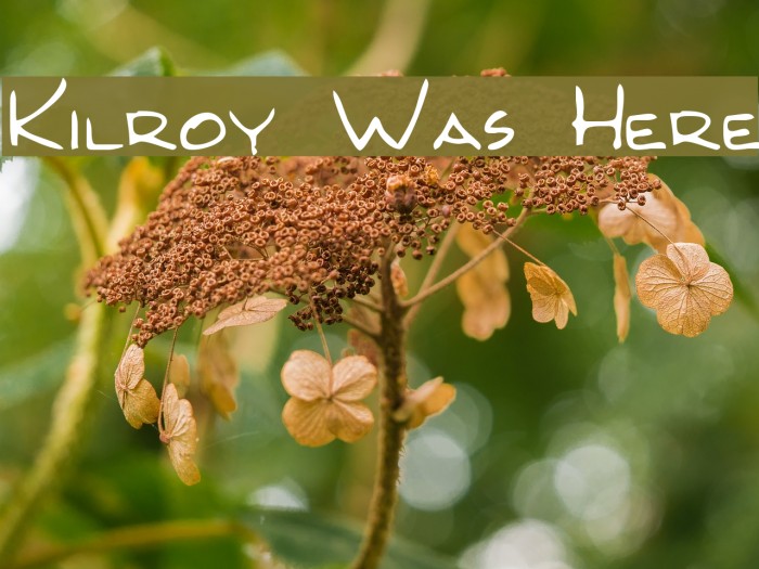 Kilroy Was Here Font examples
