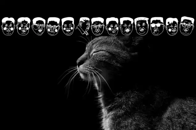 Kim Jong Un Caratteri examples