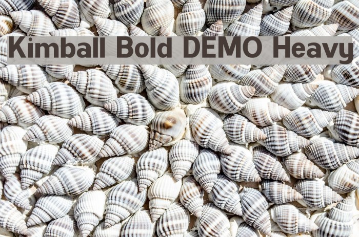 Kimball Bold DEMO Heavy Example 2
