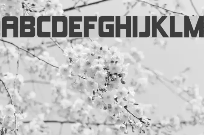 Kimberley-Regular Font examples