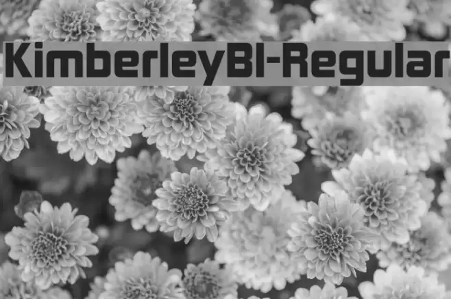 KimberleyBl-Regular Font examples