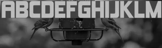 Kimberley Font examples