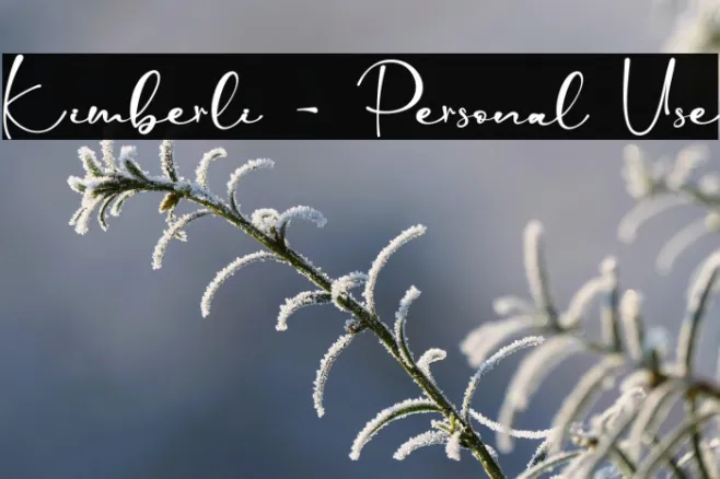 Kimberli - Personal Use Example 1