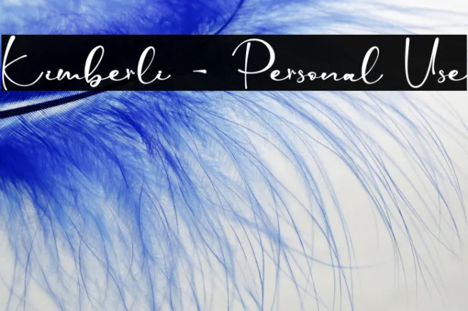 Kimberli - Personal Use Example 3