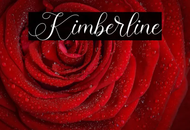 Kimberline Example 1