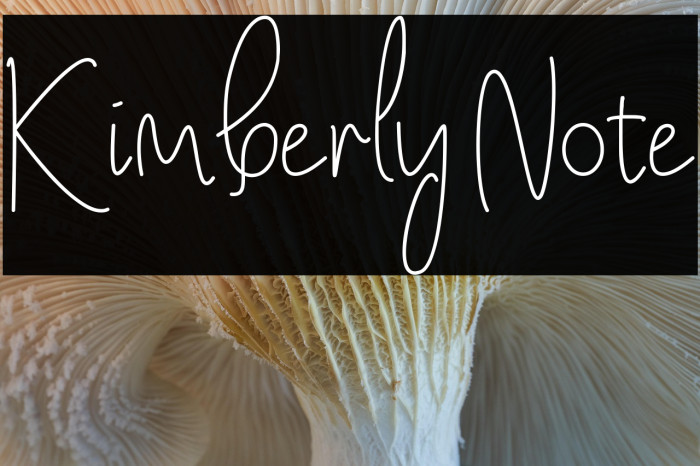 Kimberly Note Example 1