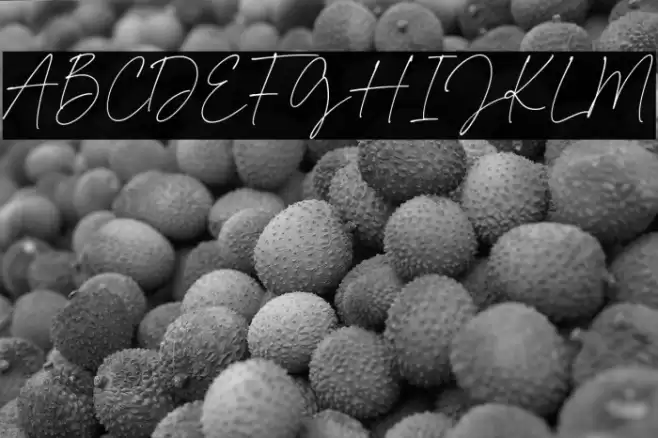 Kimberly Paradise 字体 examples