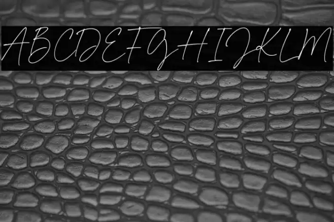 Kimberly Paradise 字体 examples