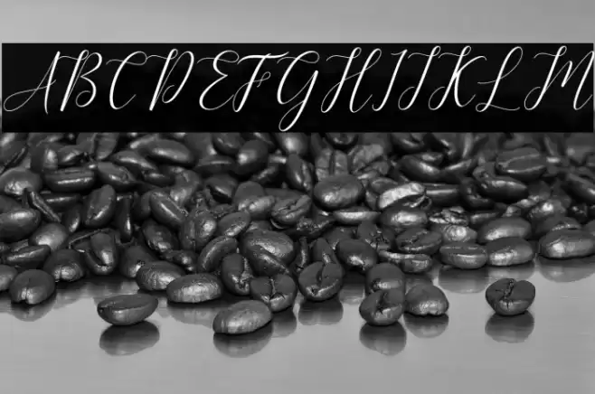 Kimberly Font examples