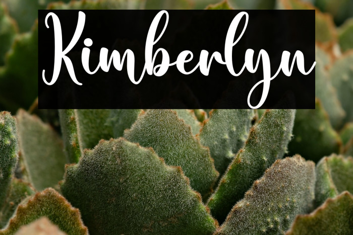 Kimberlyn Example 1