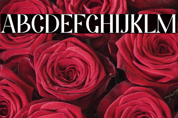 Kimburgery Example 2