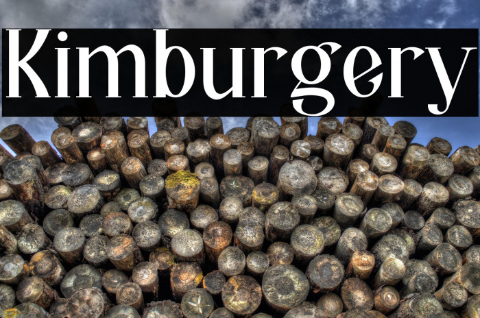 Kimburgery Example 3