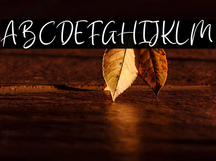 Kimie Roselyne Example 1