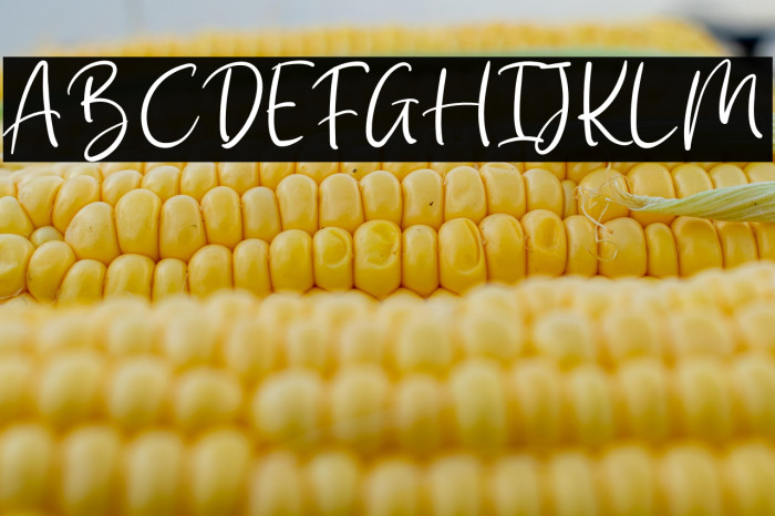 Kimie Roselyne Example 2