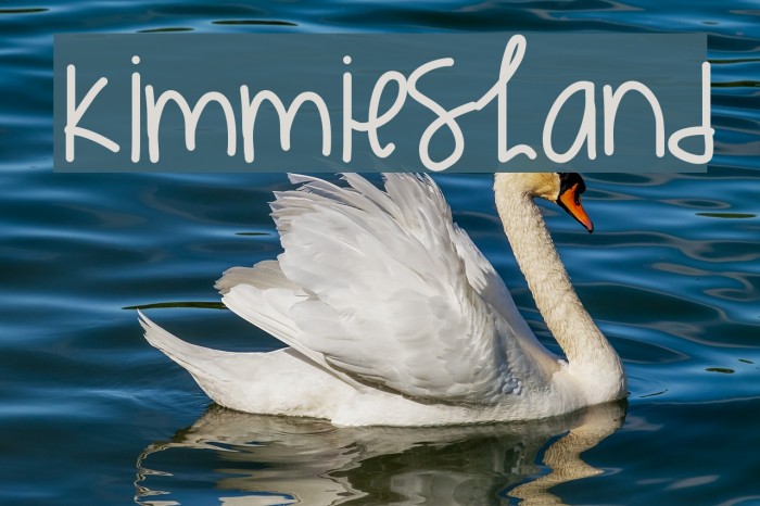 KimmiesHand Font examples