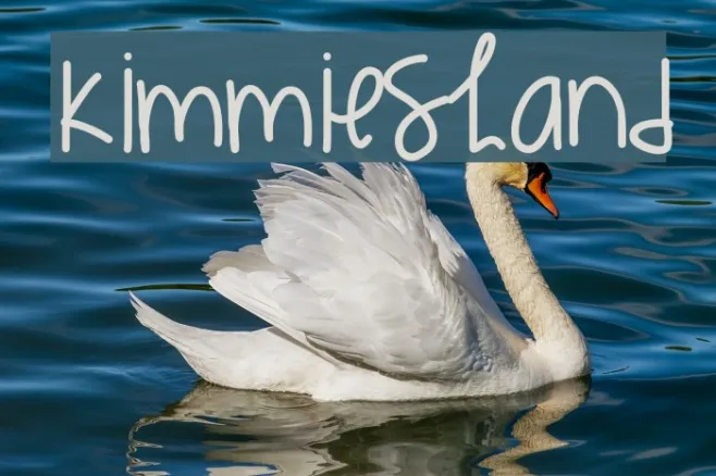 KimmiesHand Example 2