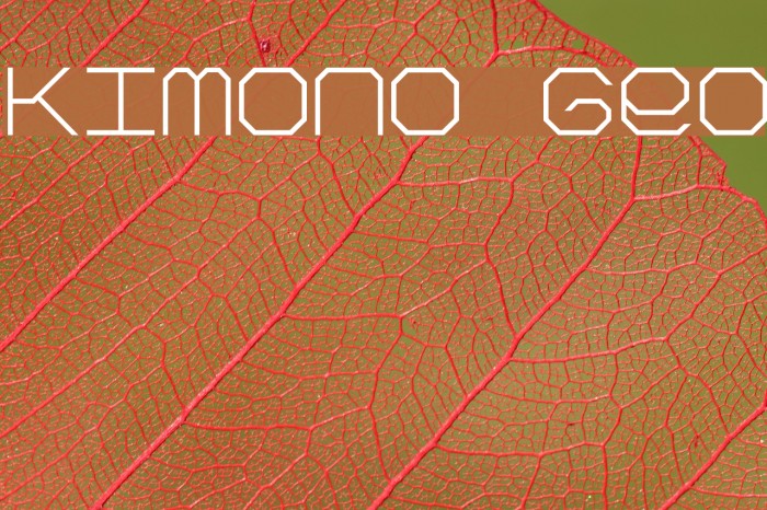 Kimono Geo Font examples