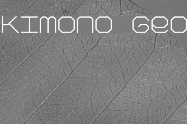 Kimono Geo Font examples