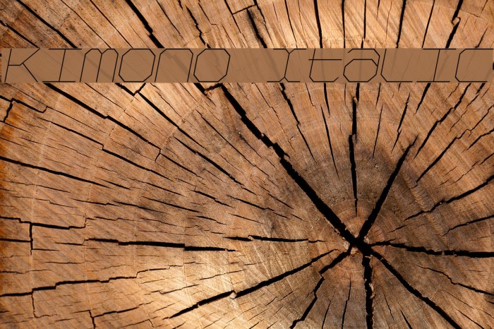 Kimono Italic Font examples