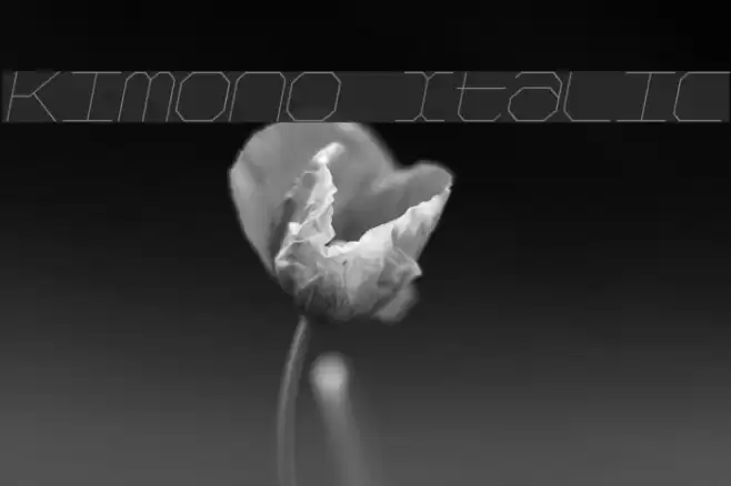 Kimono Italic Font examples