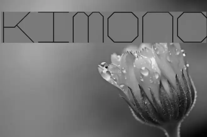 Kimono Font examples