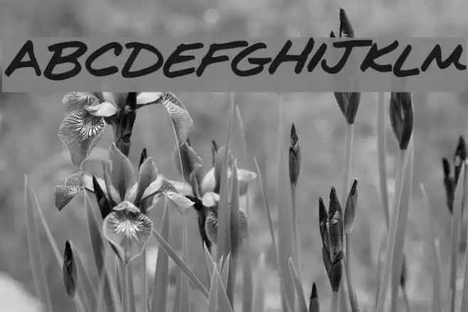 Kims Handwriting Font examples