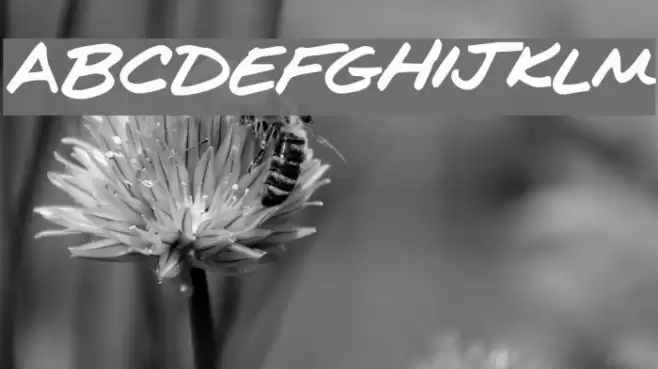 Kims Handwriting Font examples