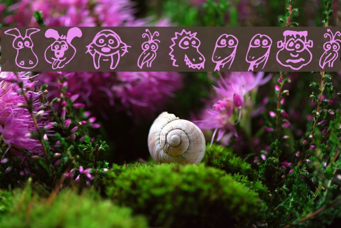 Kims Toons Font examples