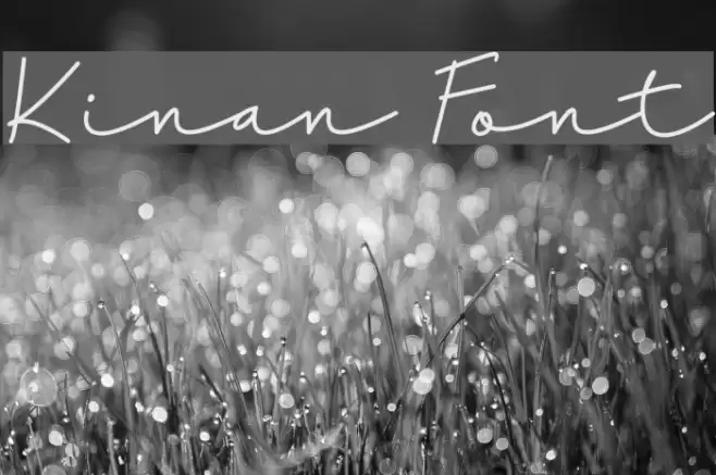 Kinan Font examples