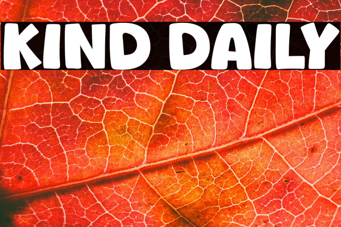 Kind Daily Example 3