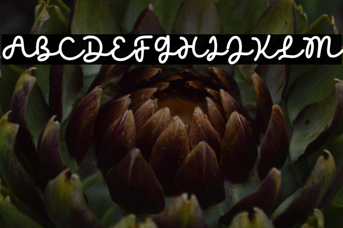 Kind Heart Example 3